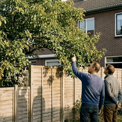 Header afbeelding voor Burenruzie: wanneer juridische hulp je verder helpt